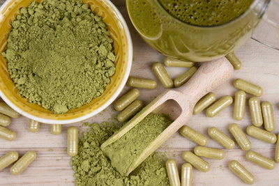 What Is Kratom? A Beginner's Guide to This Traditional Botanical